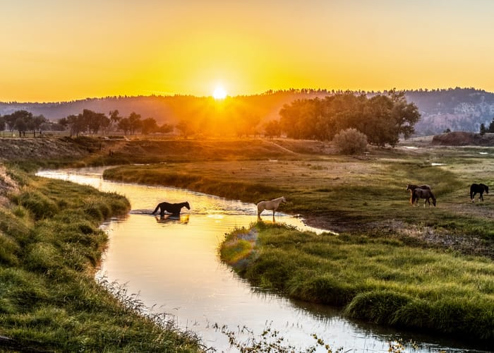 Best Checking Accounts in Wyoming for 2026