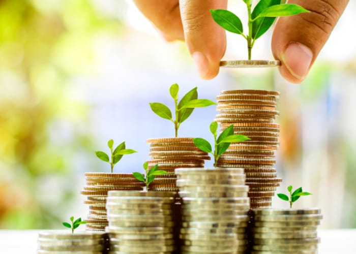 Best compound interest accounts: Ultimate guide to growing your money