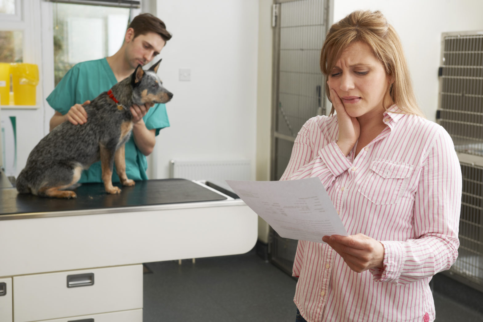 worried woman looking at bill in veterinary surgery