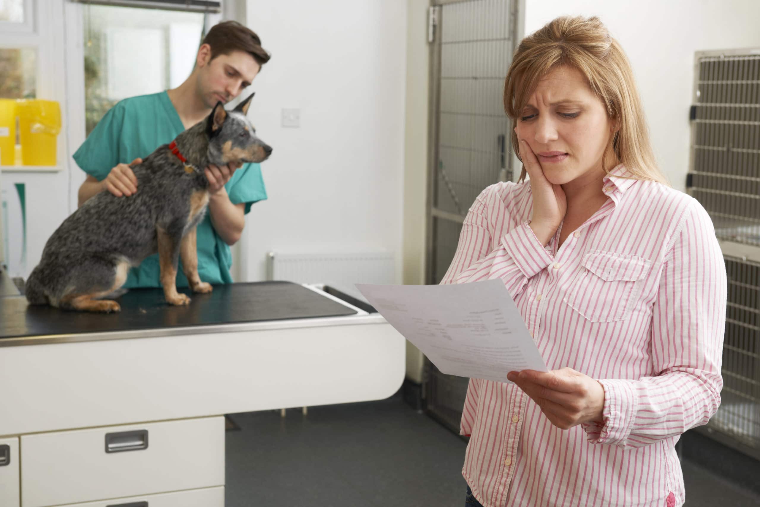 worried woman looking at bill in veterinary surgery