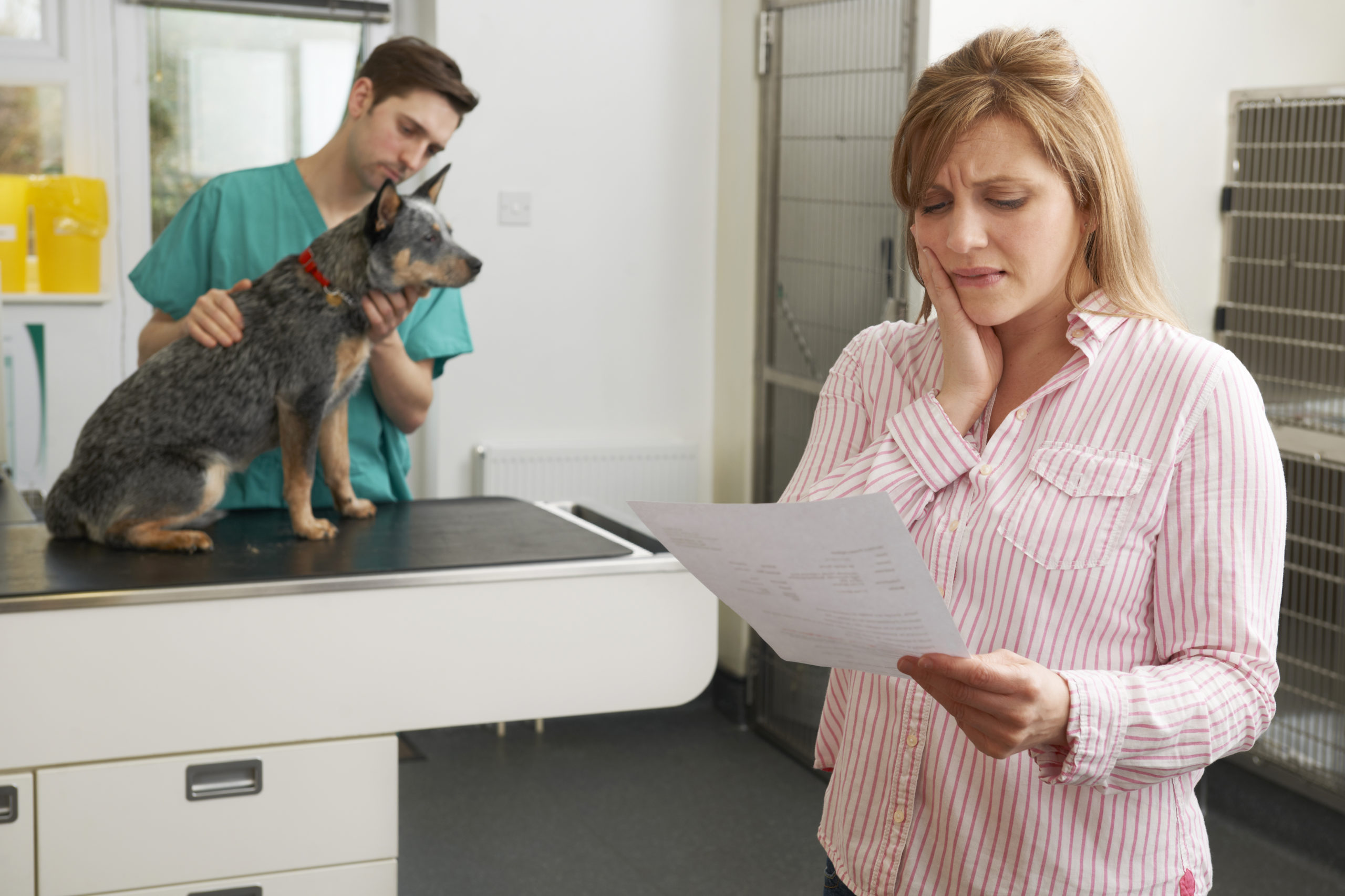 worried woman looking at bill in veterinary surgery
