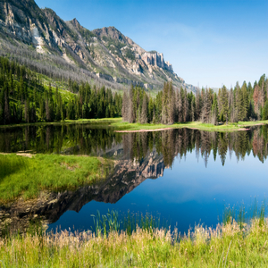 Wyoming